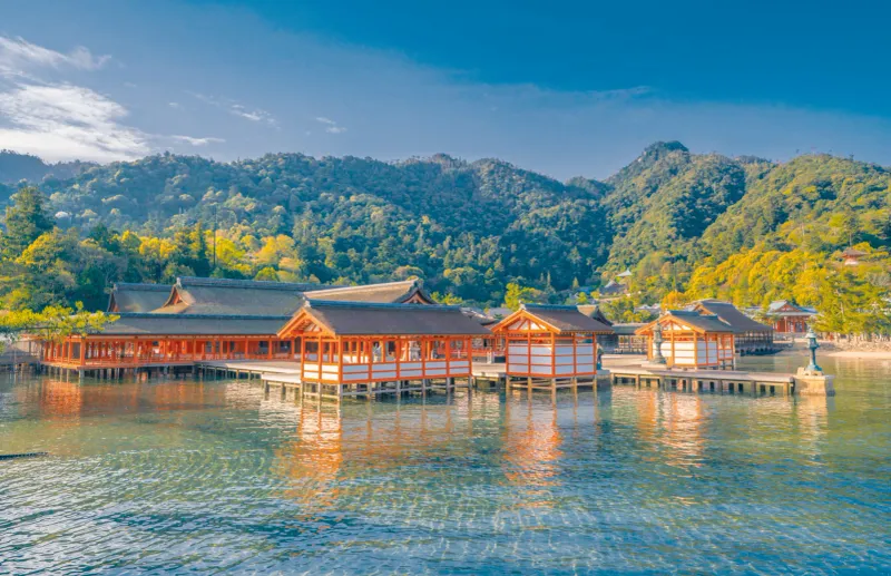 Japan: Cultural Safety Net