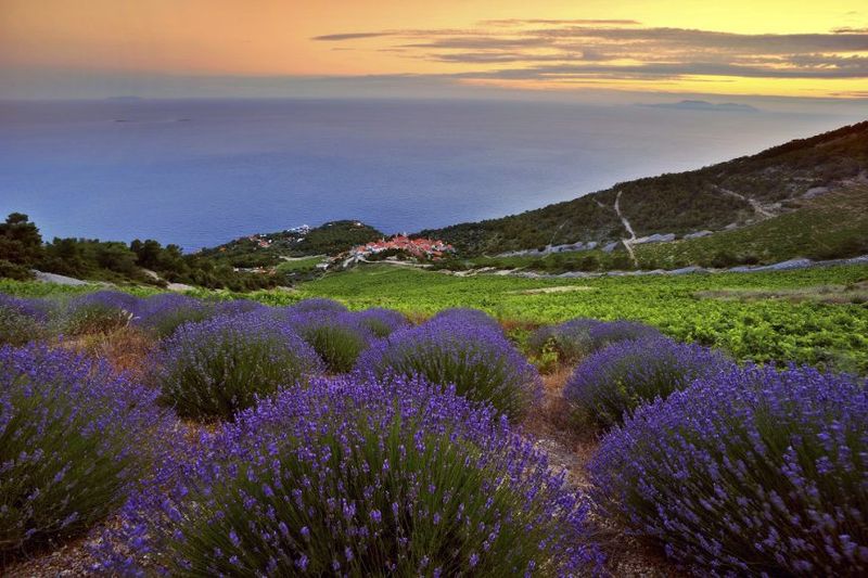 Hvar Island, Croatia