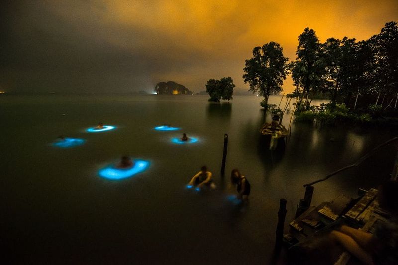 Worth It: Swimming with Bioluminescent Plankton in Thailand