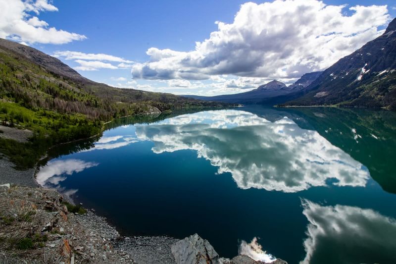 Book Again: Montana's Glacier National Park - America's Wild Heart