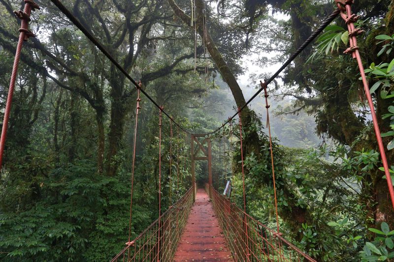 Book Again: Costa Rica - Eco-Paradise Worth Every Penny