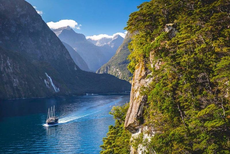 Avoid Antarctica – Explore New Zealand Instead
