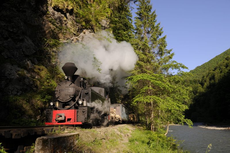 Ride A Steam Train Through Forested Mountains