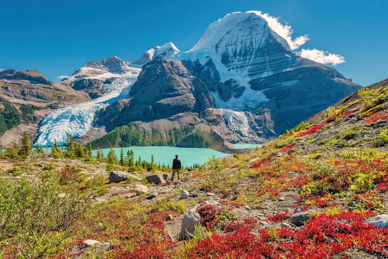 Canadian Rockies in Bloom