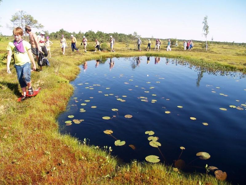 Bog Walking in Soomaa National Park