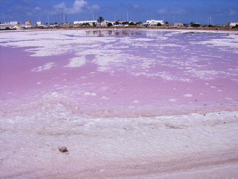 Wander salt fields nearby