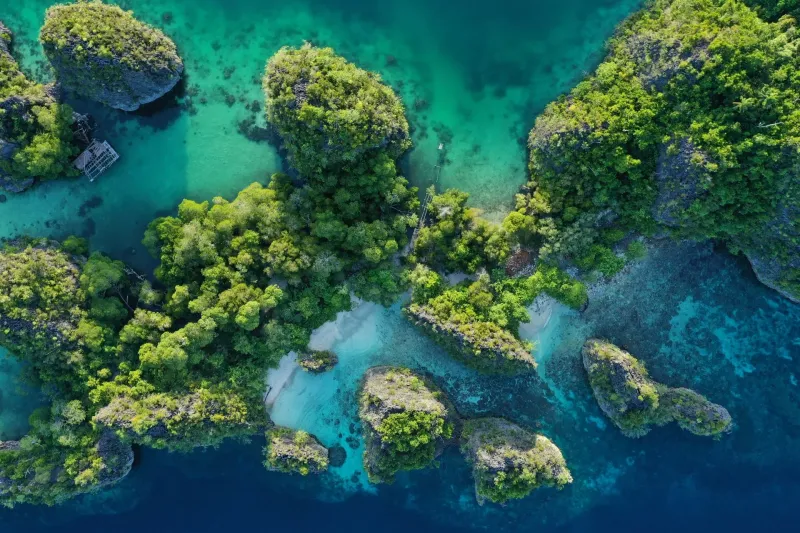 Raja Ampat, Indonesia: Underwater Paradise Untouched