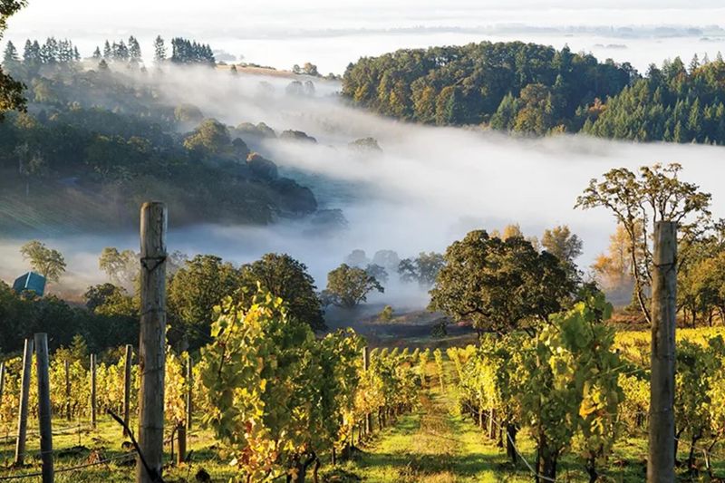 Willamette Valley Pinot Passport