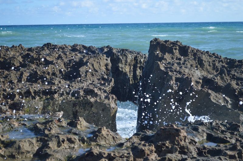 Blowing Rocks Preserve