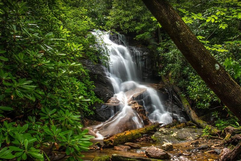 North Carolina Balanced Beauty
