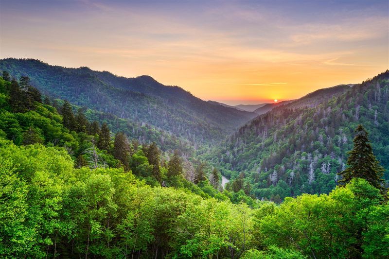 Tennessee's Soulful Rhythms