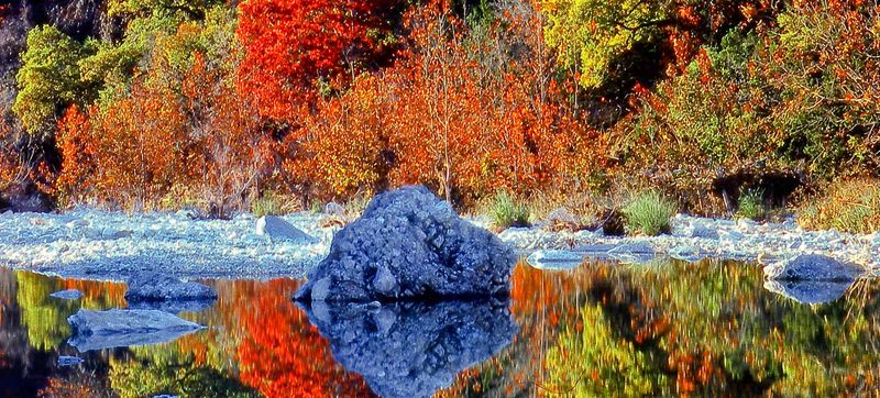 Lost Maples Leaf Peeping