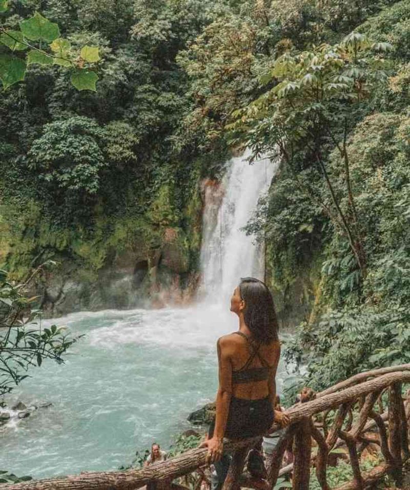 Costa Rica Jungle Calm