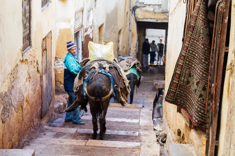 Morocco's Magical Chaos
