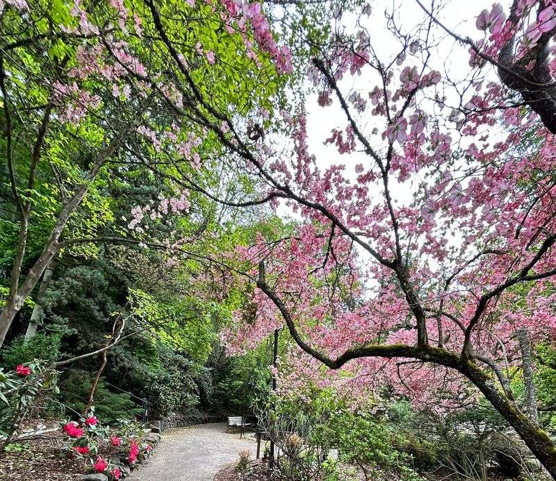 Ashland’s Theatrical Spring