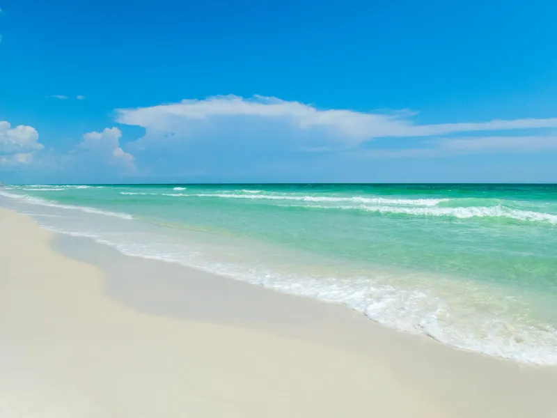 Henderson Beach State Park: Emerald Coast's Natural Sanctuary