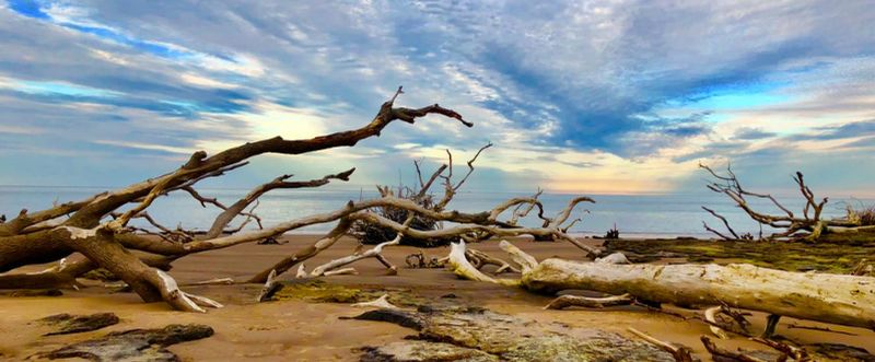 Big Talbot Island State Park