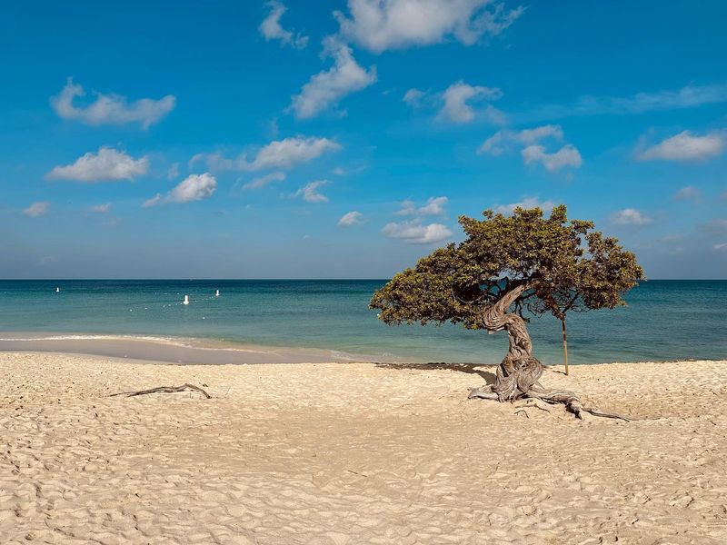 Aruba: Desert Island Beauty