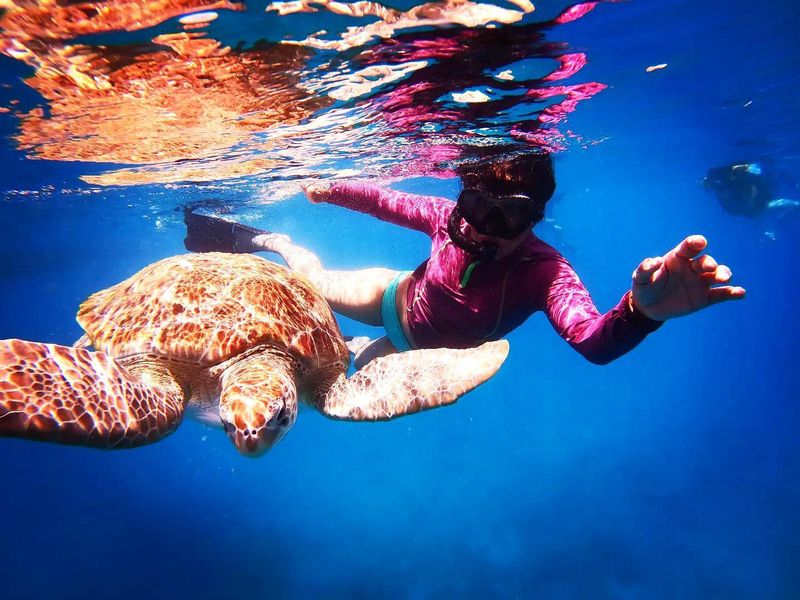 Barbados' Perfect Blend of Luxury and Soul