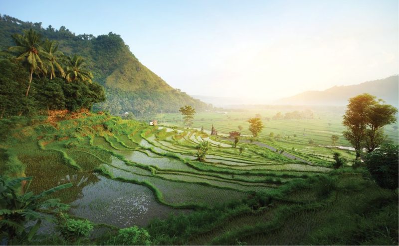 Immersed in Balinese Village Life