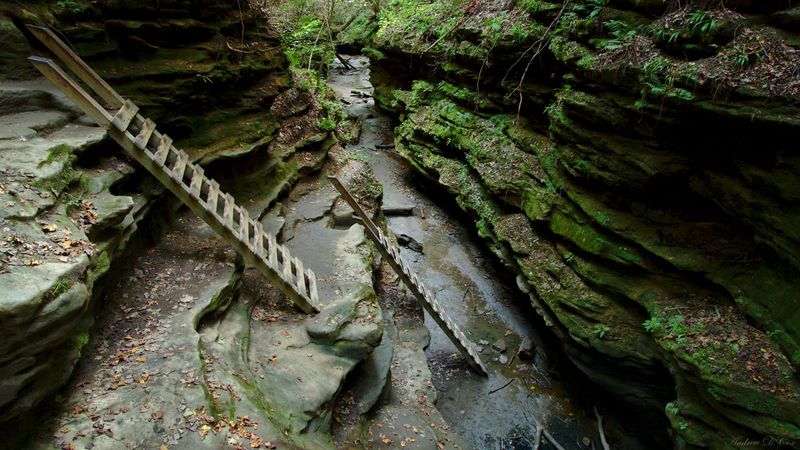 Turkey Run Canyon – Indiana