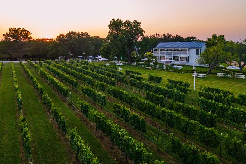 Fredericksburg Wine Weekend
