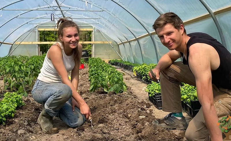 Live and Work on an Organic Farm