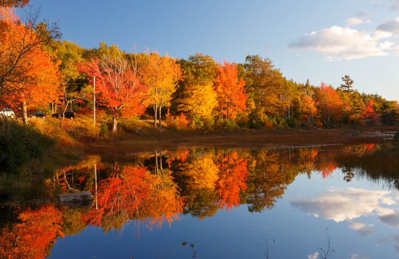 Fall Colors Free Weekend (October 25-26, 2025)