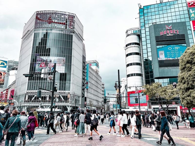 Missed Tour in Tokyo (Fell Flat)