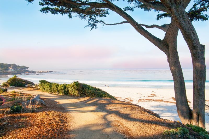 Scenic Road Walkway