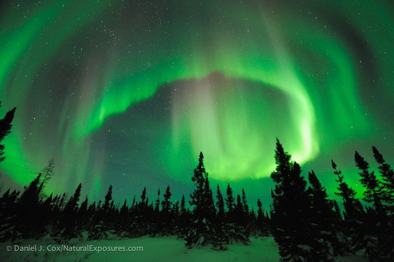 Arctic Conservation in Canada