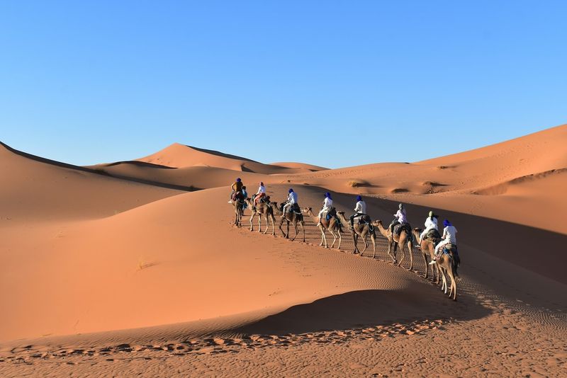 Cross the Sahara Desert by Camel