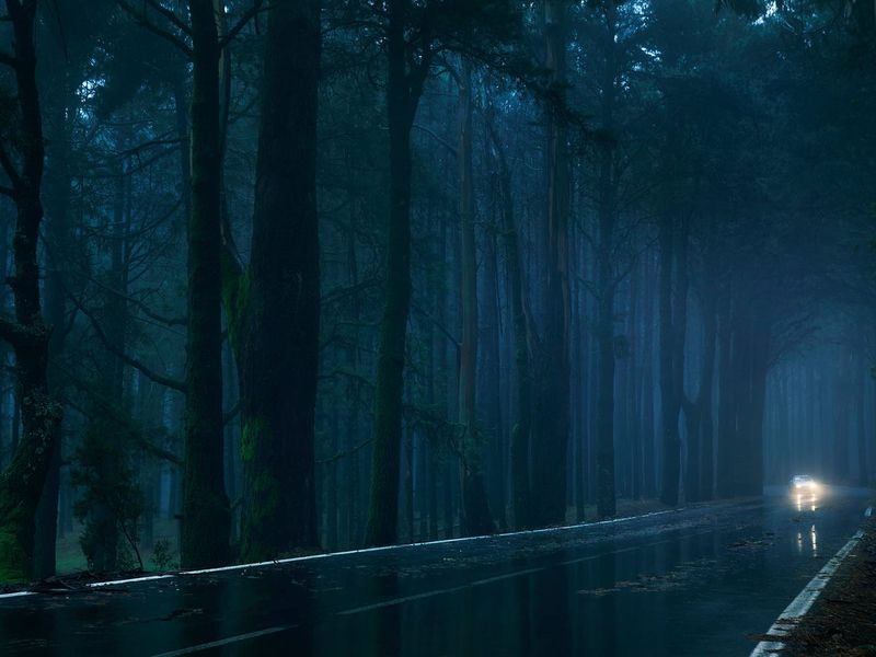 Avoid Night Travel (Safety Step)