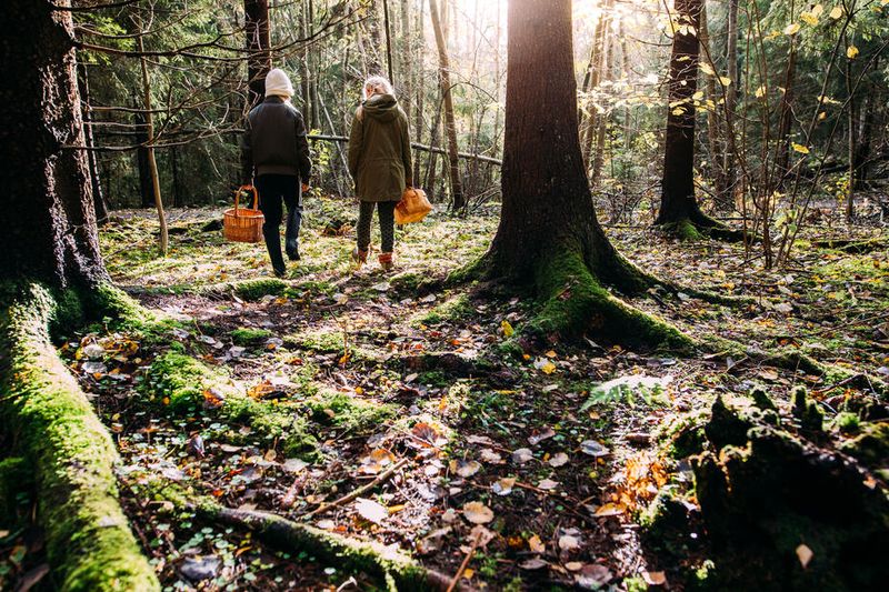 Helsinki, Finland: The Forest-Loving Capital