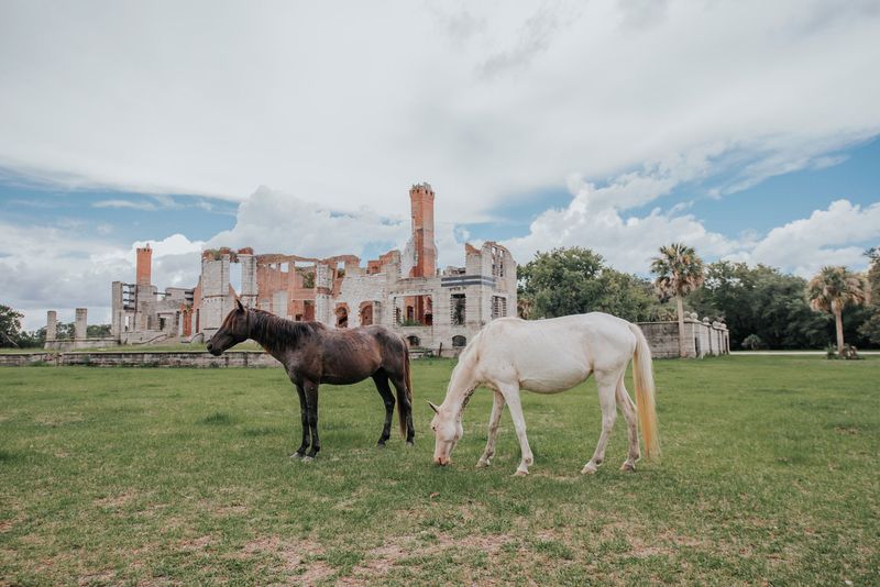 Cumberland Island Instead of Florida Keys