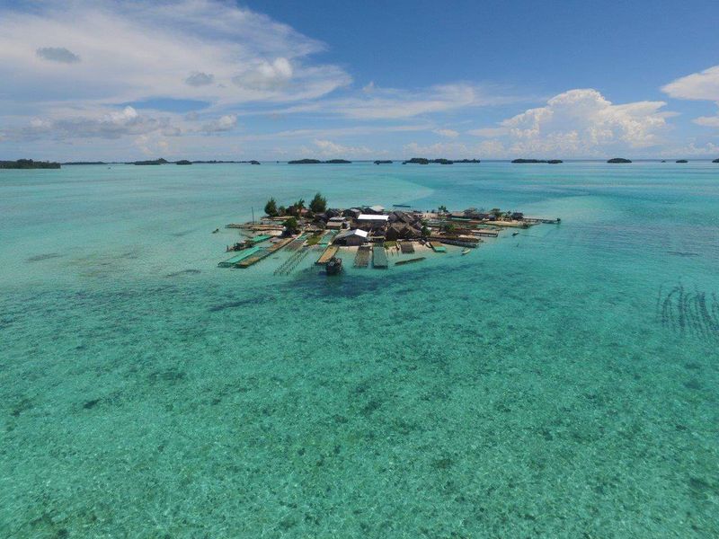 Nuatambu: Half Gone in Five Years