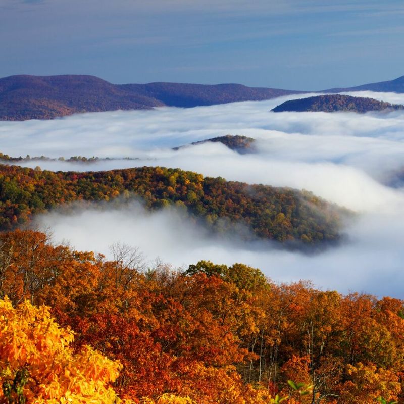 Washington Commanders – Skyline Drive, VA