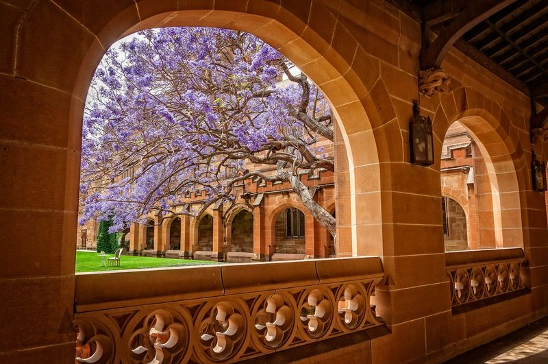 University of Sydney Greenery