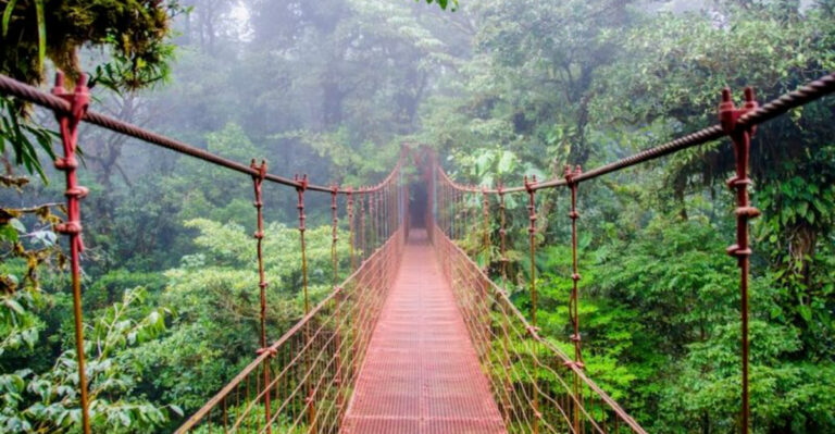 The 12 Most Beautiful Forests Around The World To Add To Your Travel List