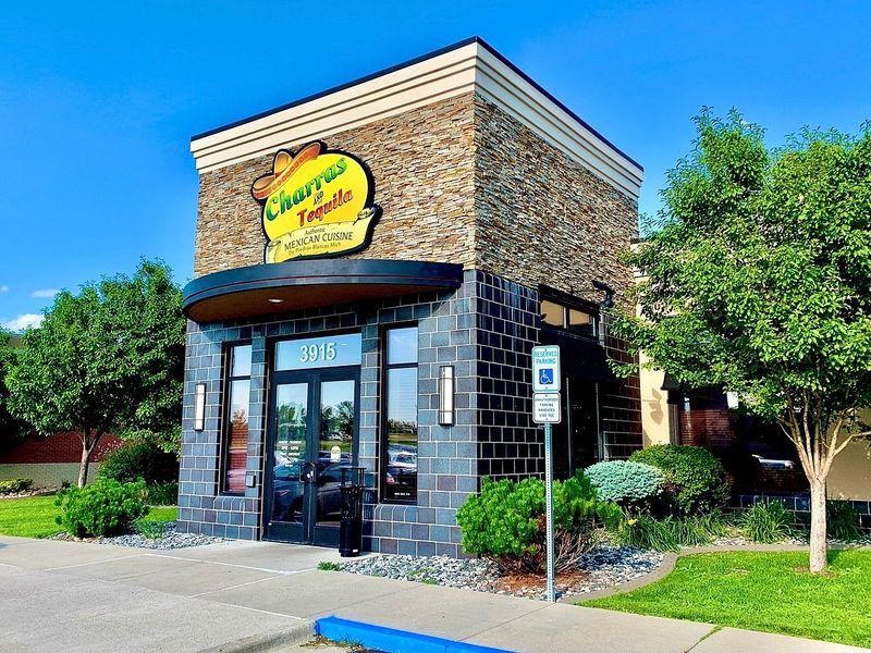 The Toasted Frog, Grand Forks, North Dakota