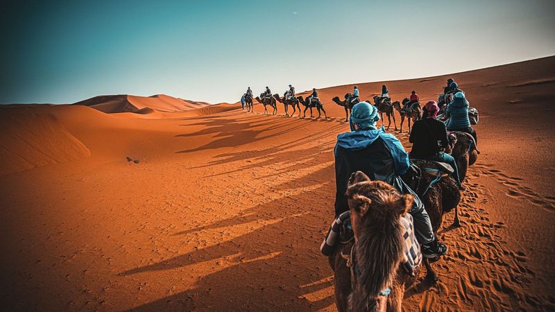 Sahara Desert Camel Trek