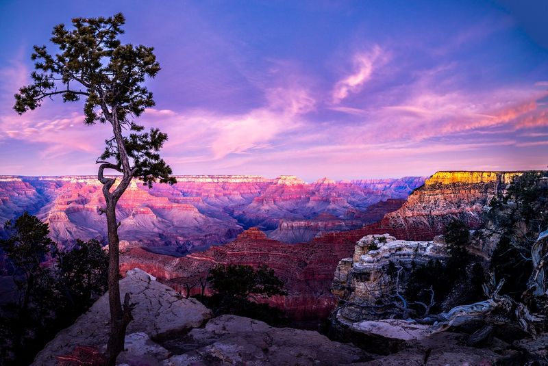 The Grand Canyon