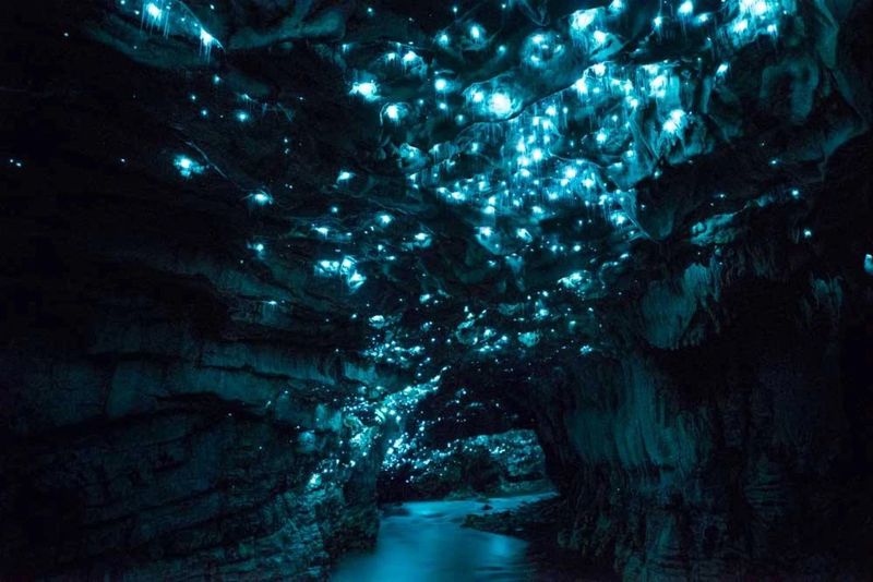 New Zealand's Glowworm Caves