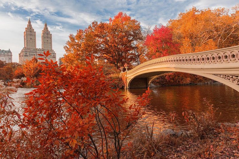 The Urban Oasis of Central Park, New York City
