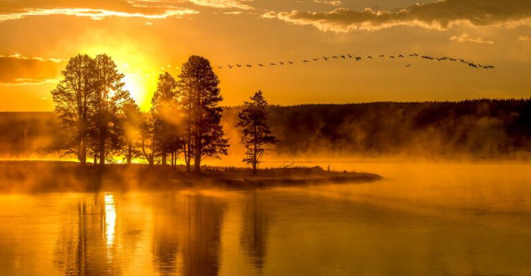 The Most Beautiful Roadway In America Is A Grand Entrance To A National Park