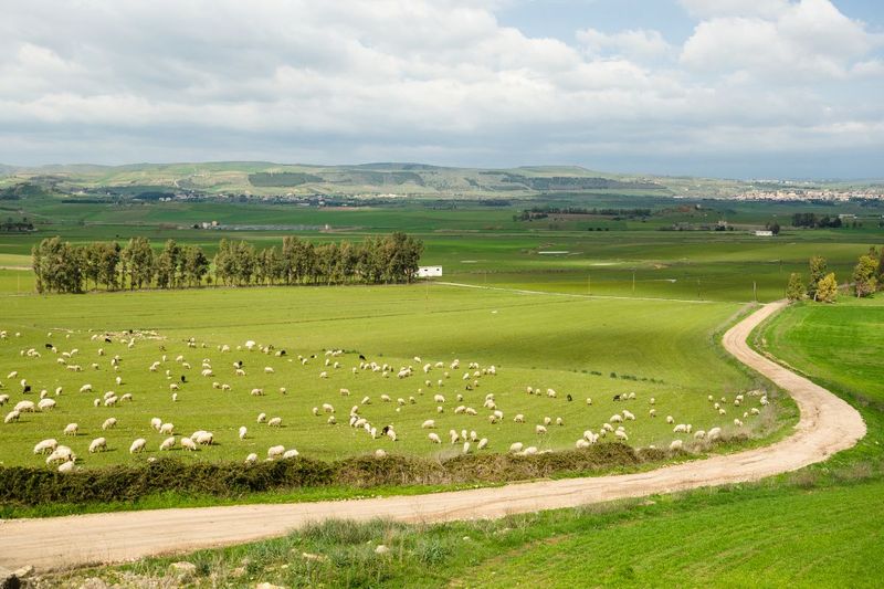 Sustainable Travel Tips For Visiting Responsibly