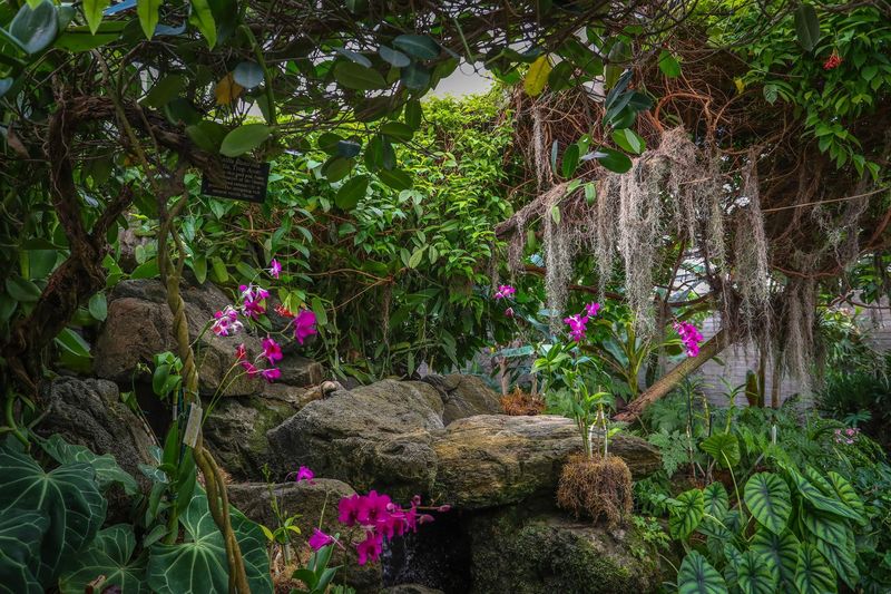 Los Angeles County Arboretum – California, USA