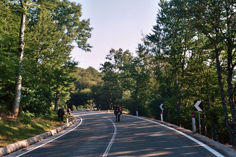 Sicily's Forgotten Nebrodi Mountain Pass