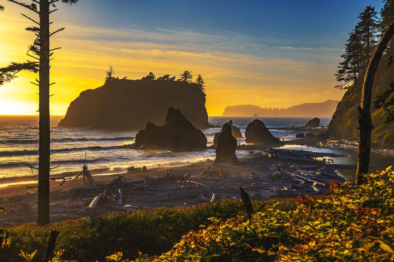 The Stunning Scenery of Olympic National Park, Washington