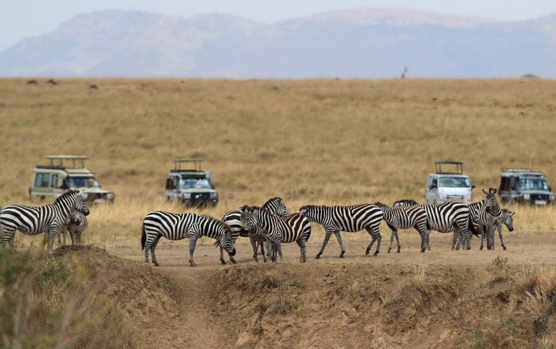 Overhyped Safari Tours In Overcrowded Parks